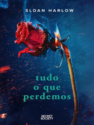 cover image of Tudo o que Perdemos